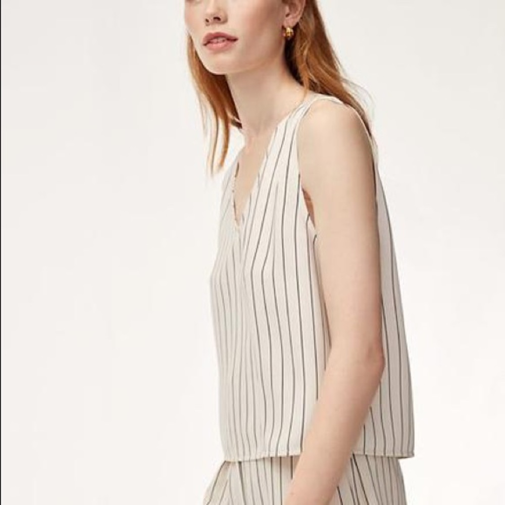 Aritzia striped Murphy blouse
